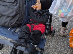 Trunk or Treaters